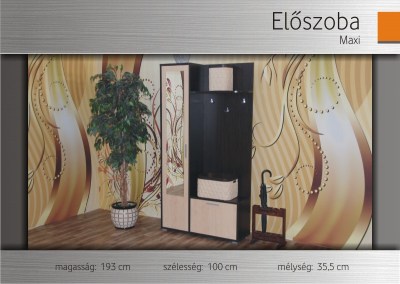 elosz_Maxi1